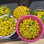 Pavillon Confort En Campagne فيلة Vred