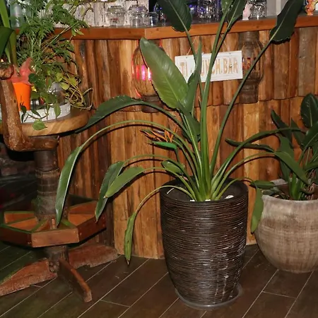 Pavillon Confort En Campagne *