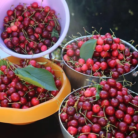 Villa Pavillon Confort En Campagne